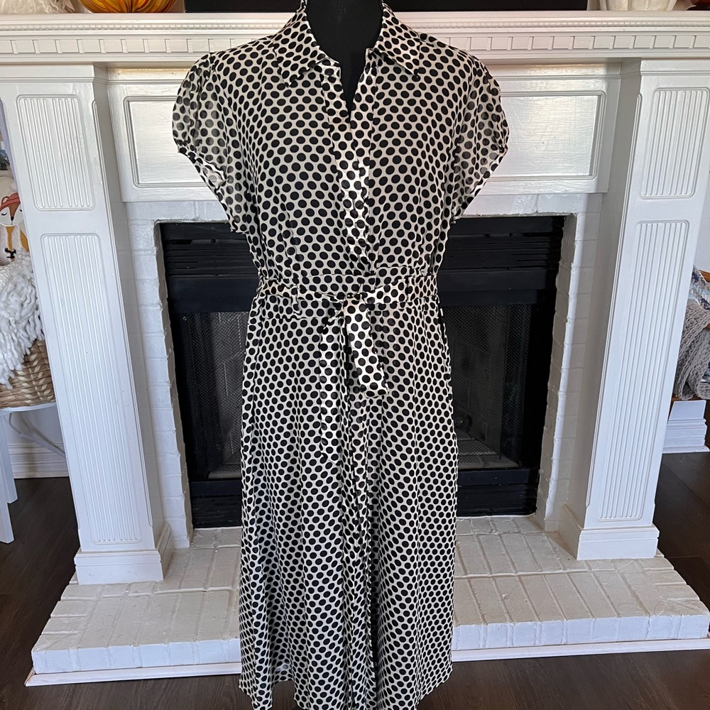 Elegant soft and silky dress